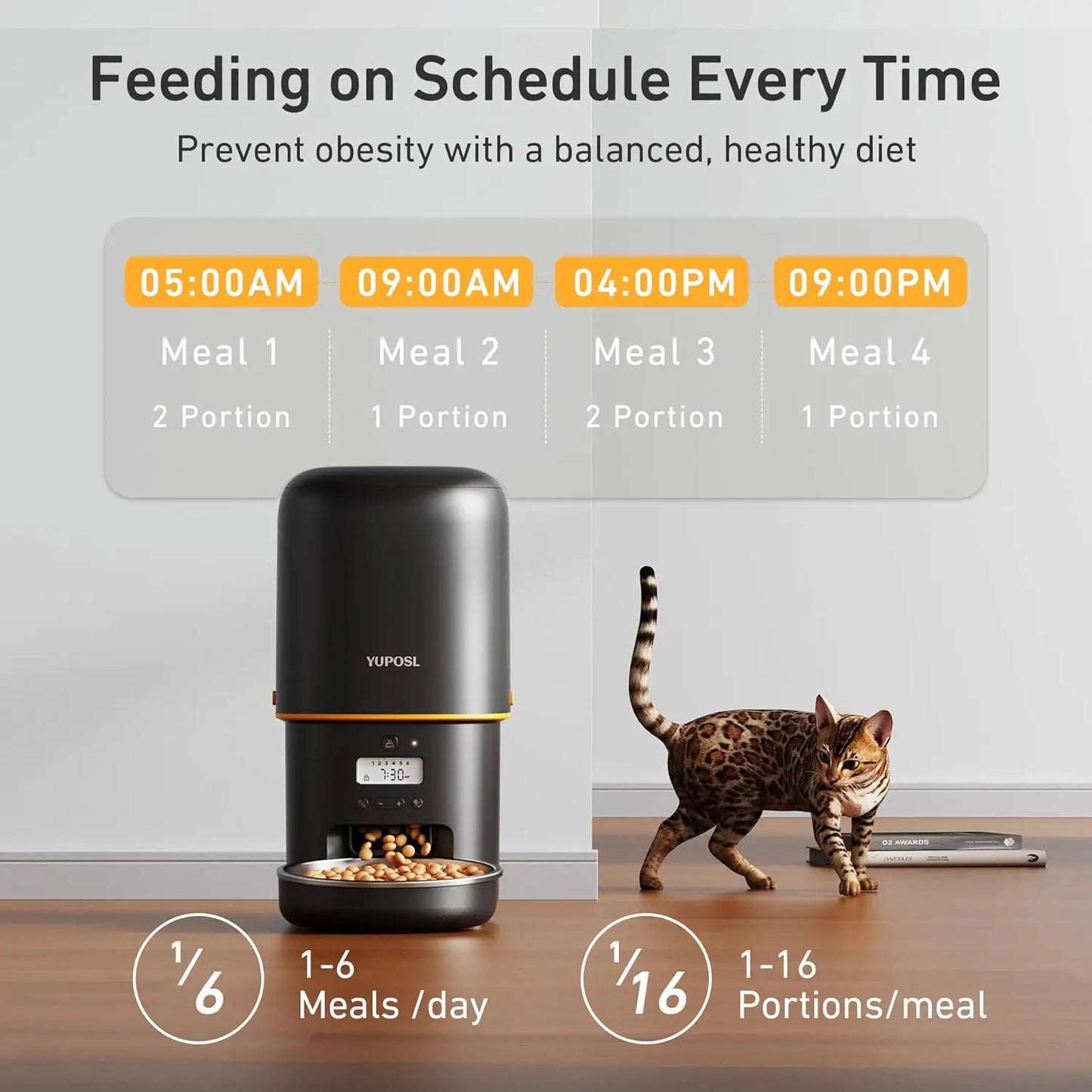 Timed Auto Pet Feeder