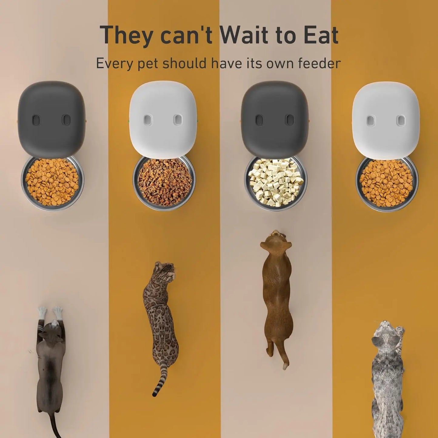 Timed Auto Pet Feeder
