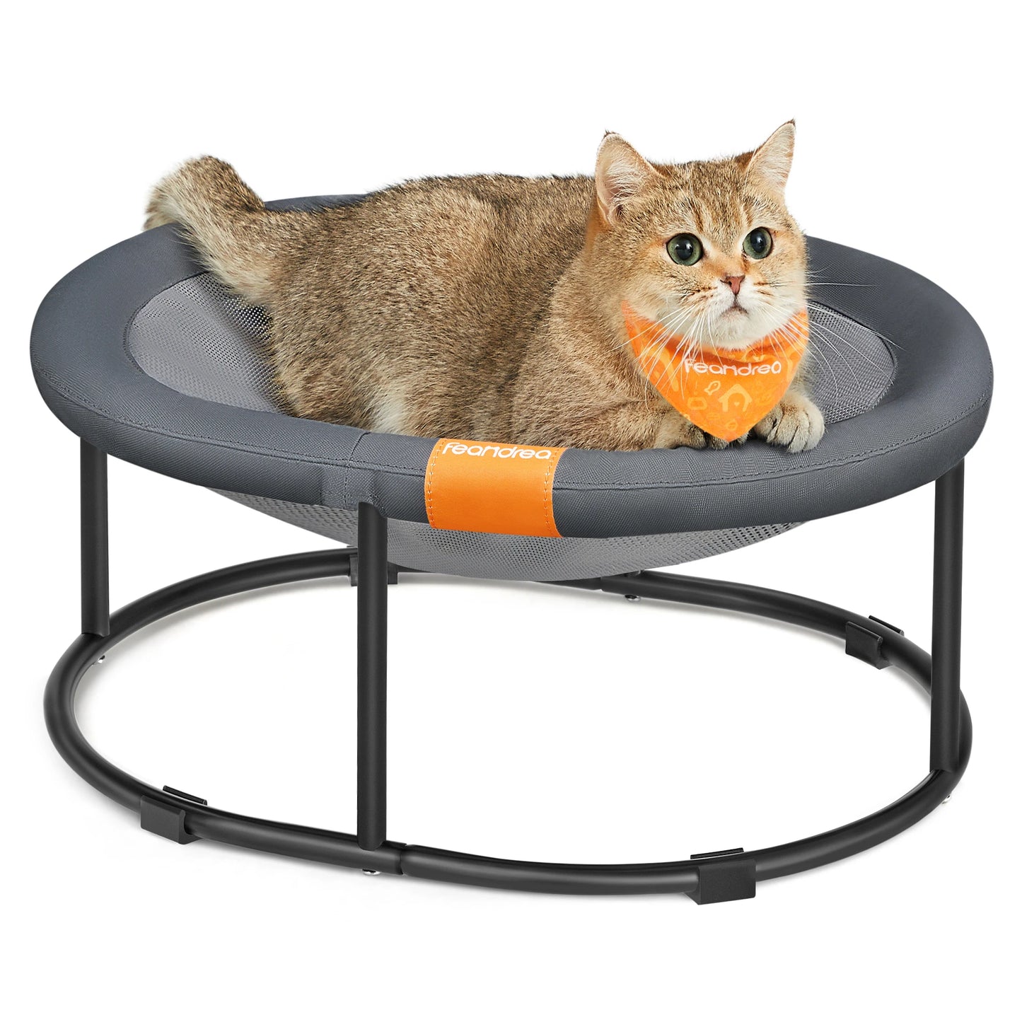 Elevated Cat Bed
