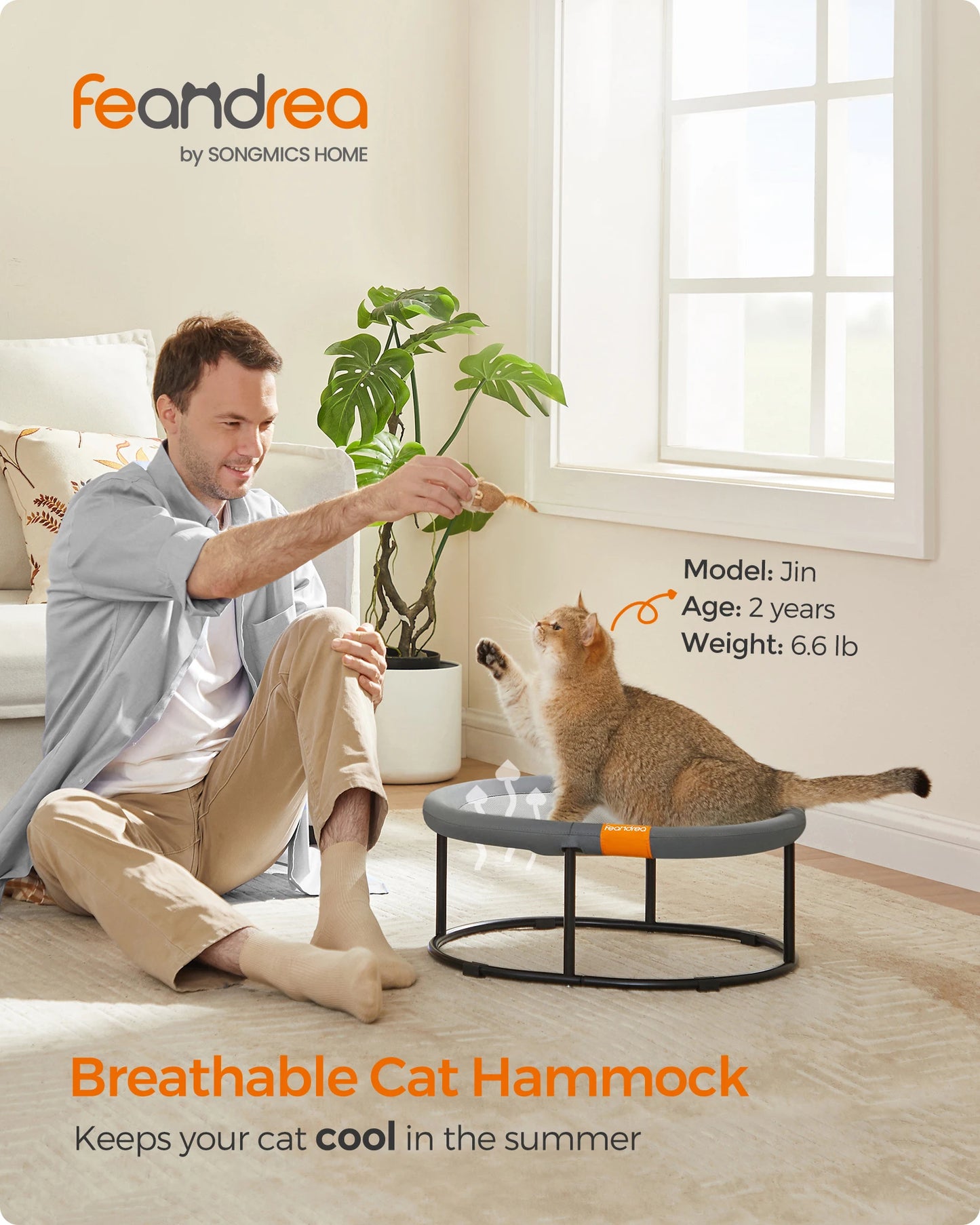 Elevated Cat Bed
