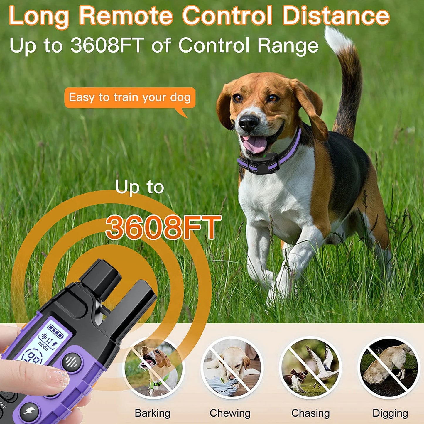 Electric Dog Training Collar