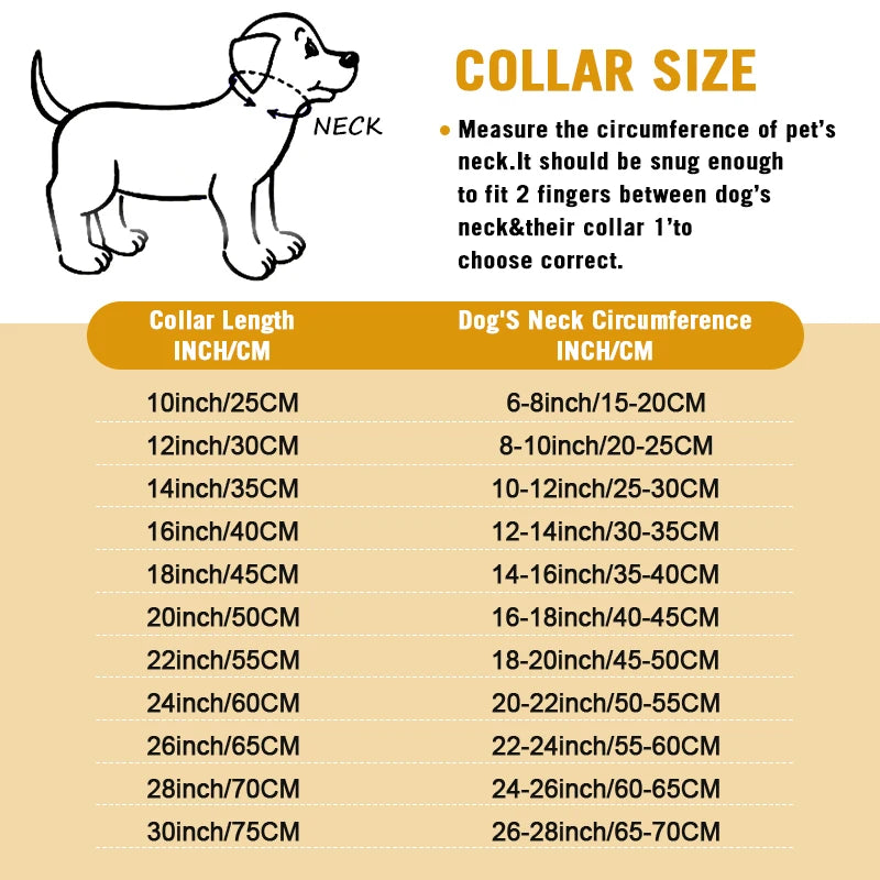 Gold Cuban Dog Collar