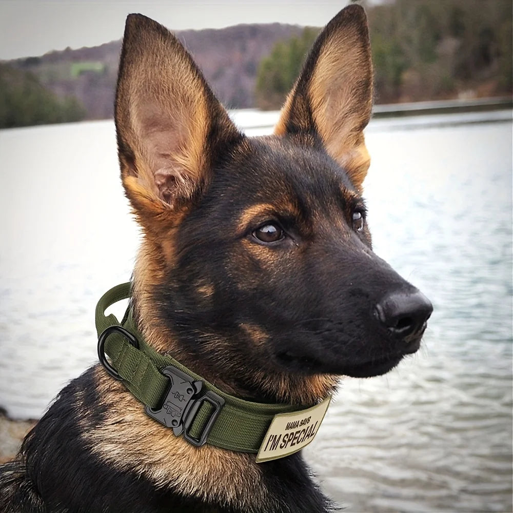 Heavy Duty Tactical Dog Collar