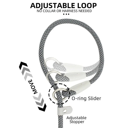 Adjustable Collar Harness