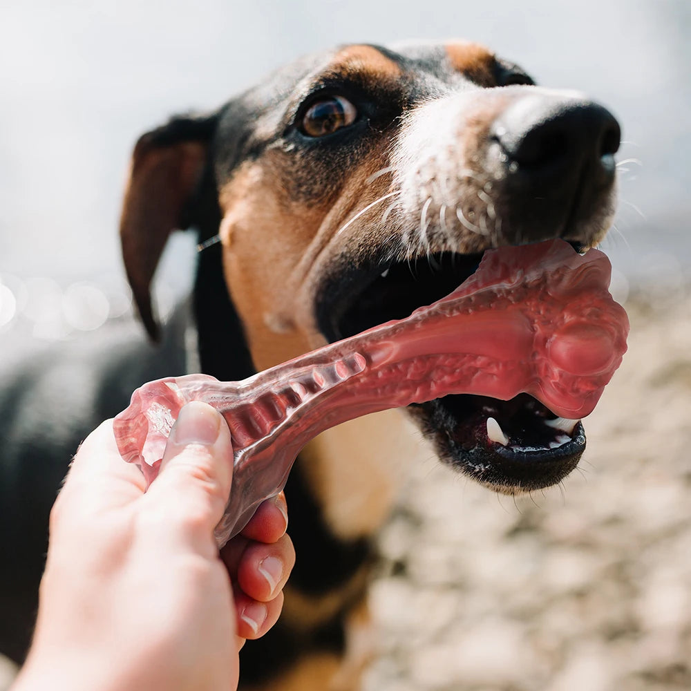 Aggressive Chewers Dog Bone-Shaped Toy