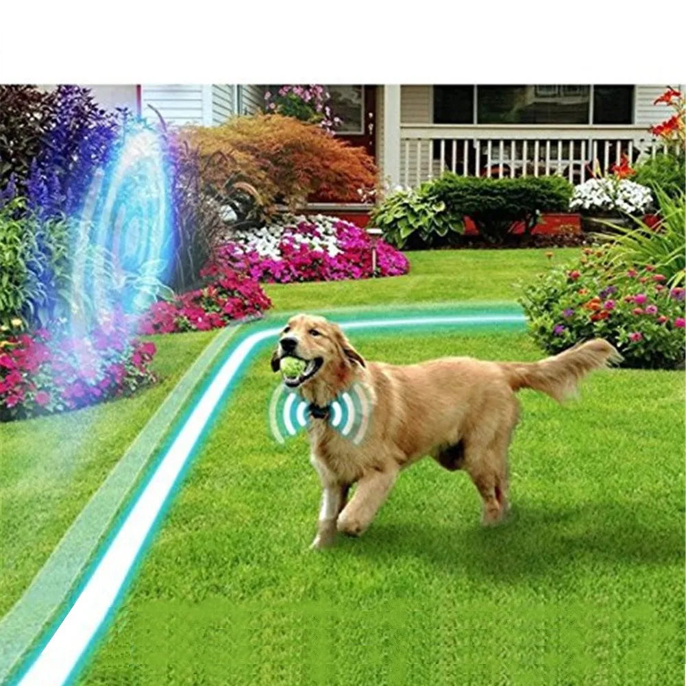 Dog Electric Fence