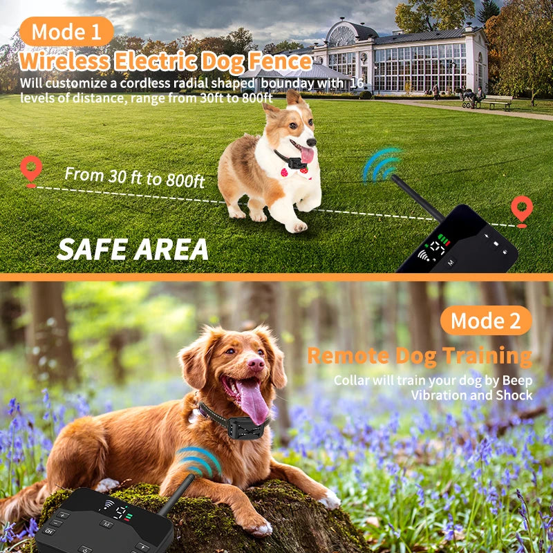 2 IN 1 Electric Shock Training Collar