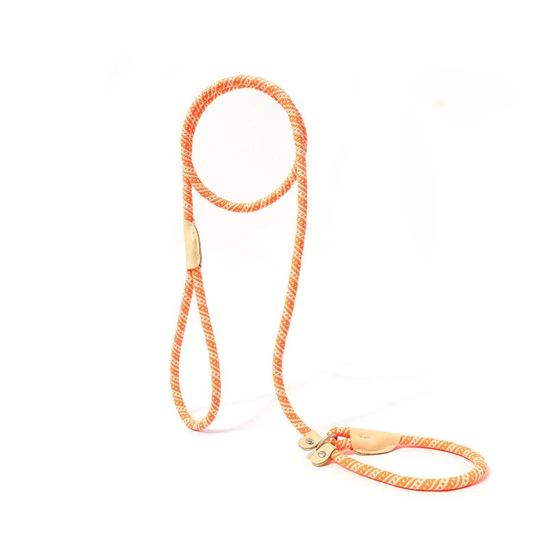 Adjustable Collar Harness