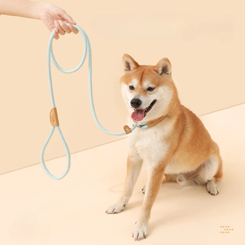 Adjustable Collar Harness