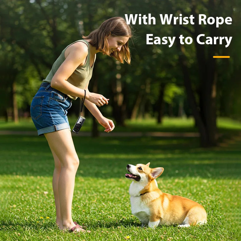 Anti Barking Training Device
