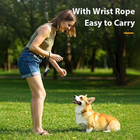 Anti Barking Training Device