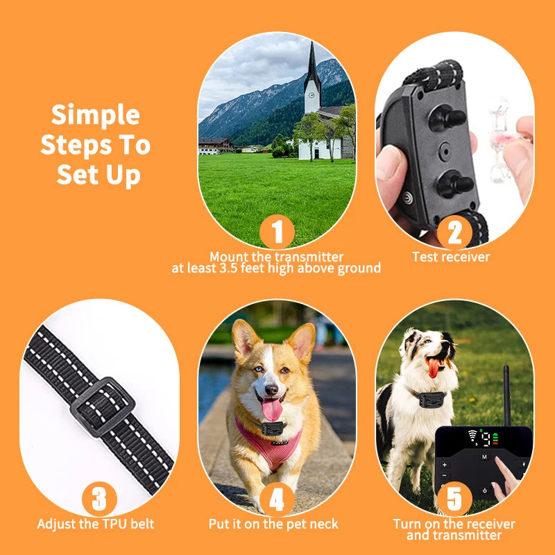 2 IN 1 Electric Shock Training Collar